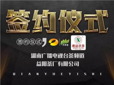 湘益茯，美茗揚 丨湘益茯茶與茶頻道達成長(cháng)期戰略合作