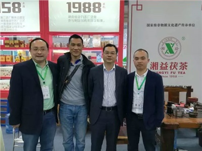 湘益茯茶6年耕耘，讓“金花”開(kāi)遍巴蜀大地