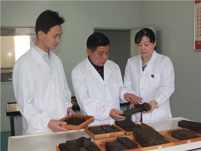 傳承茯茶非遺技藝、開(kāi)拓創(chuàng  )新引領(lǐng)行業(yè)發(fā)展